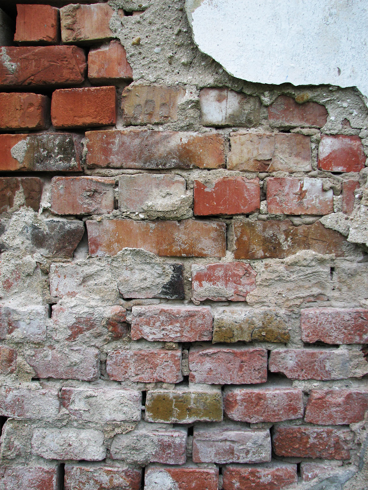 Bricks for Vertical Standard resolution
