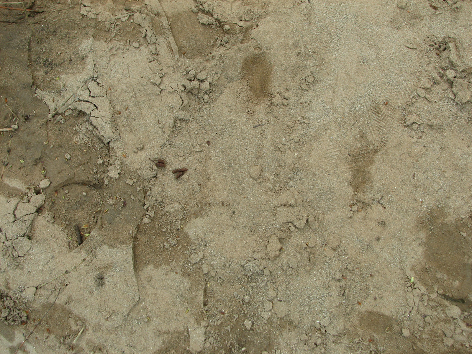Sand-tracks-01 for 1600 x 1200 resolution