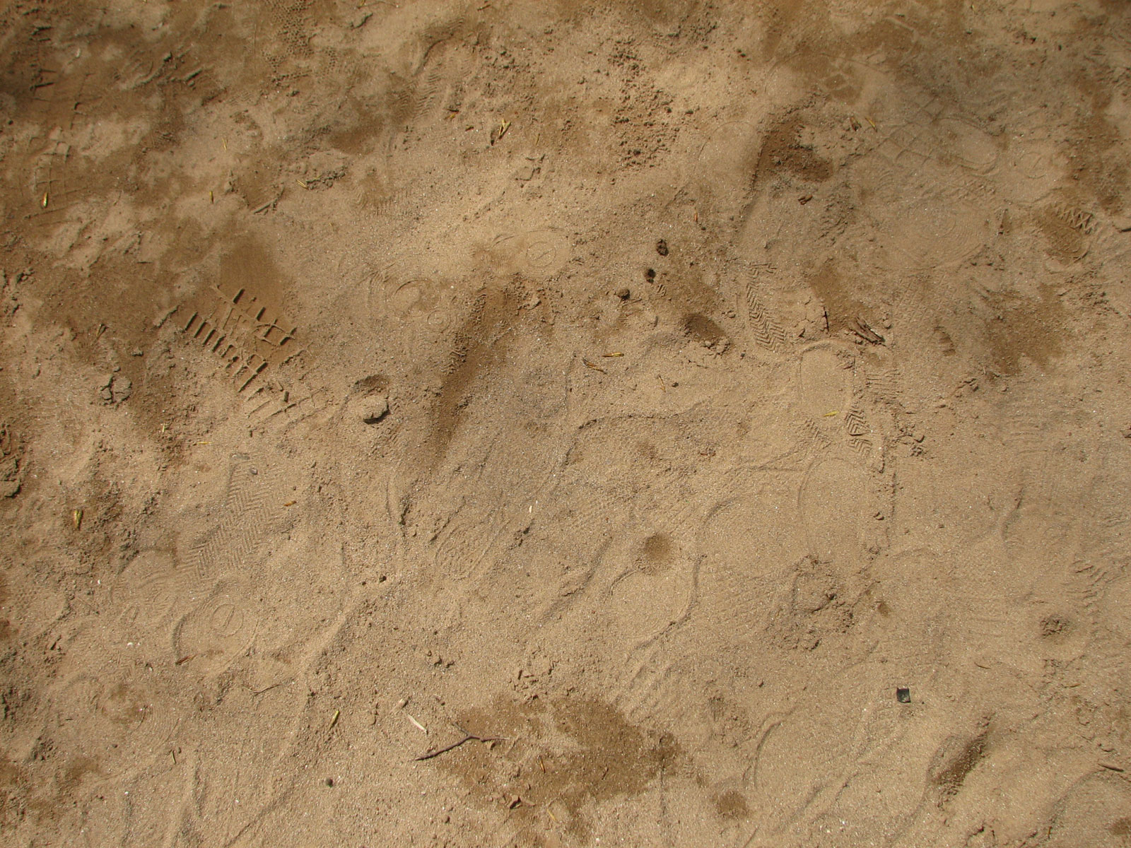 Sand-tracks-03 for 1600 x 1200 resolution