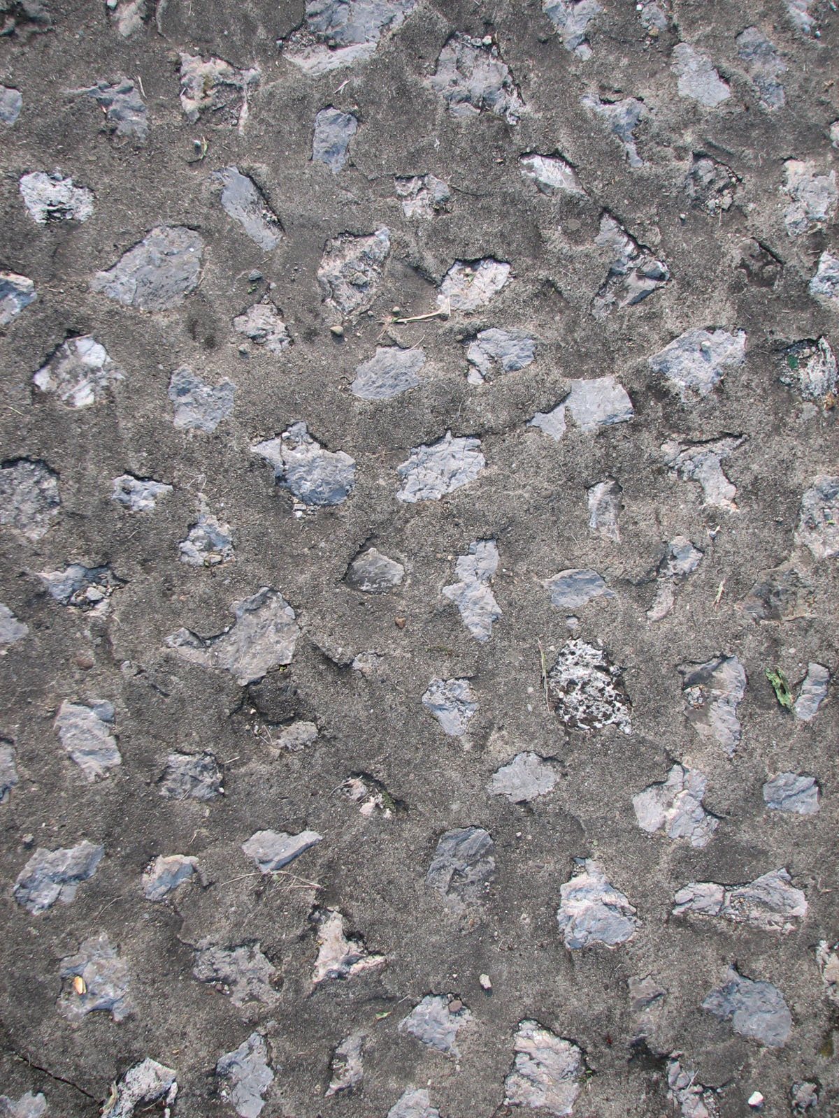 Stones in Concrete for Vertical Standard resolution