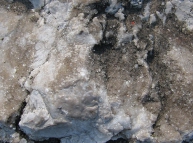 Grey White Stone Texture