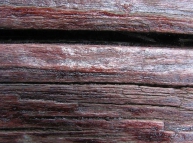 Wood-23 Texture