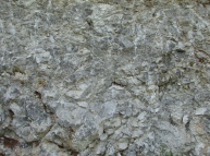 Stone-31 Texture