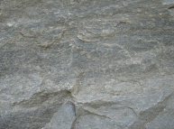 Stone-35 Texture