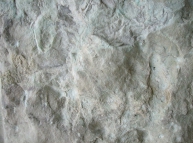 Stone-42 Texture