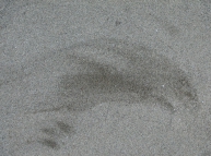 Sand-09 Texture