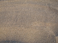 Sand-10 Texture